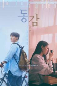 Nonton Ditto 2022
